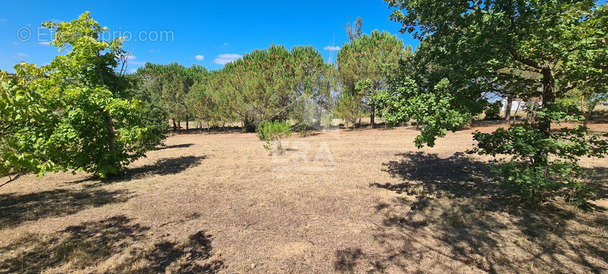 Terrain à LIMOUX