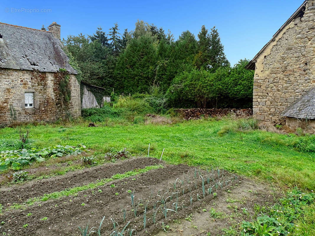 Maison à COMBOURG