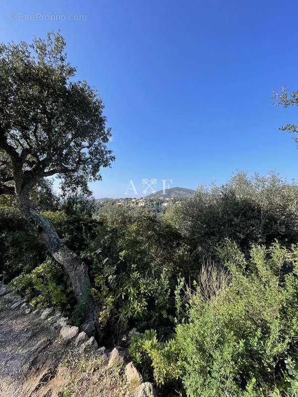 Maison à ROQUEBRUNE-SUR-ARGENS