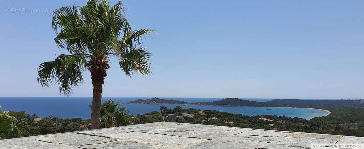 Maison à PORTO-VECCHIO