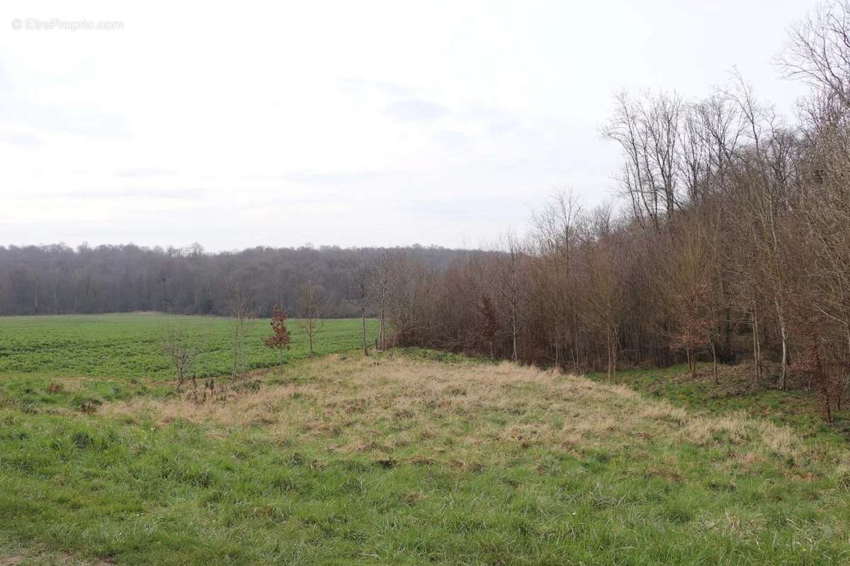 Terrain à LA FERTE-SOUS-JOUARRE