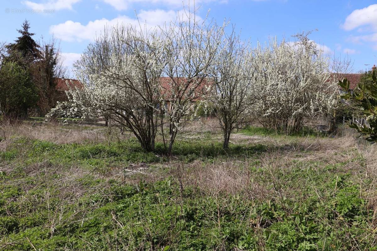 Terrain à LA FERTE-SOUS-JOUARRE