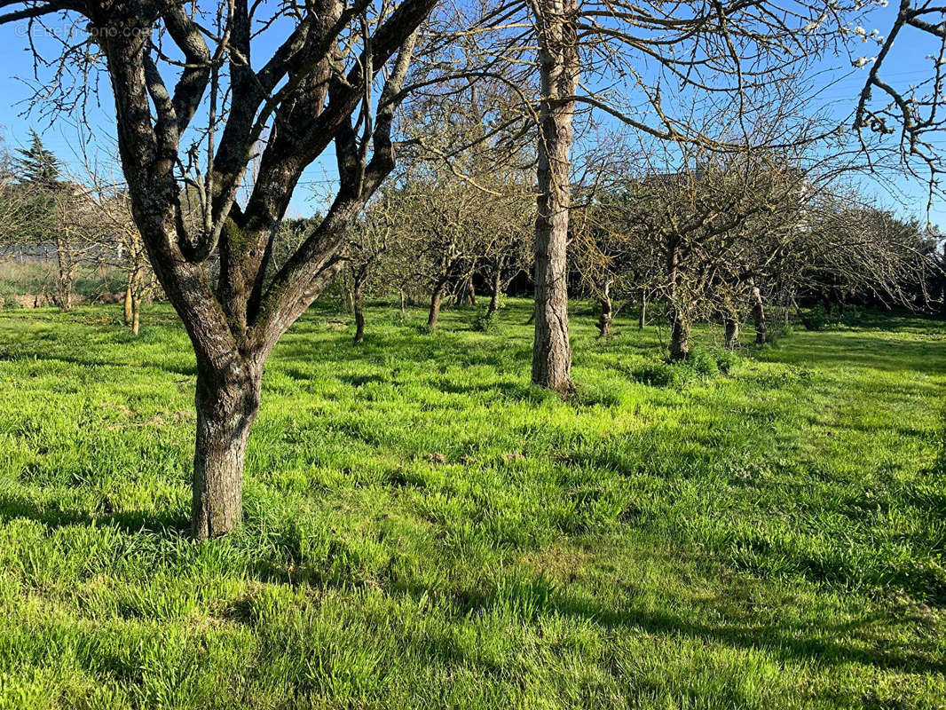 Terrain à VILLERABLE