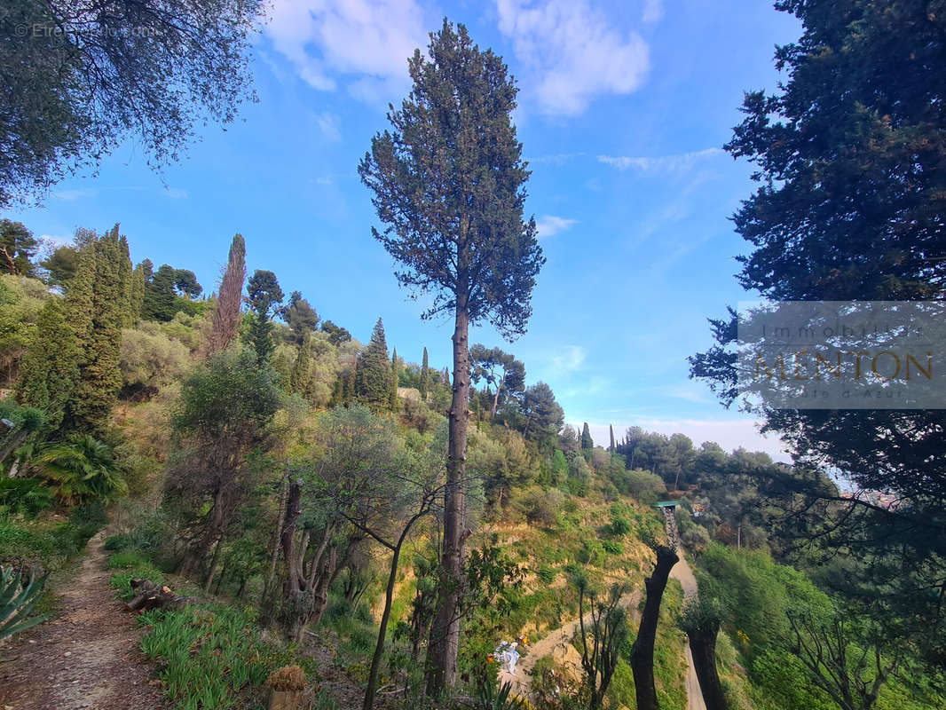 Terrain à MENTON