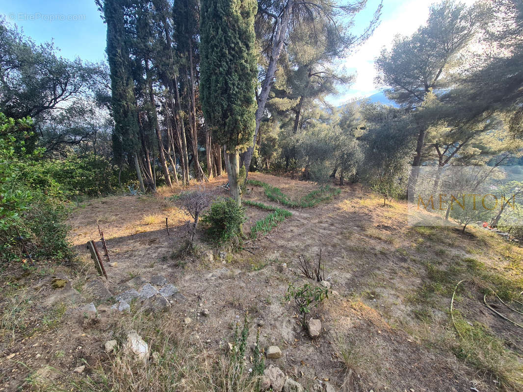 Terrain à MENTON