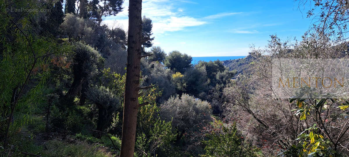 Terrain à MENTON