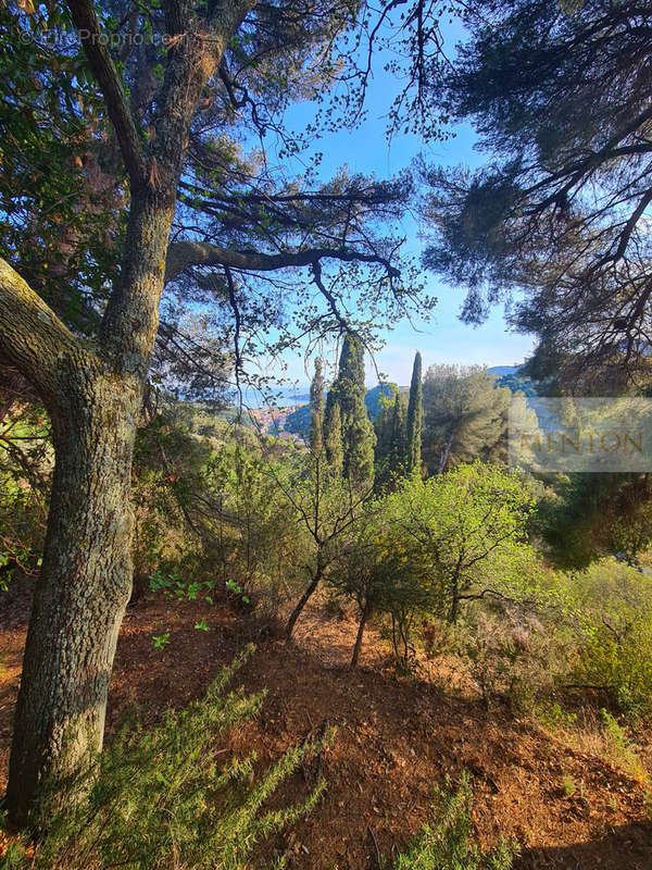 Terrain à MENTON