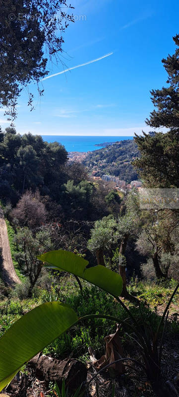 Terrain à MENTON