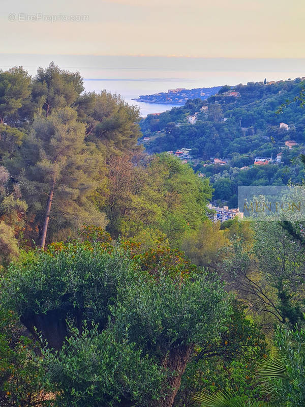 Terrain à MENTON