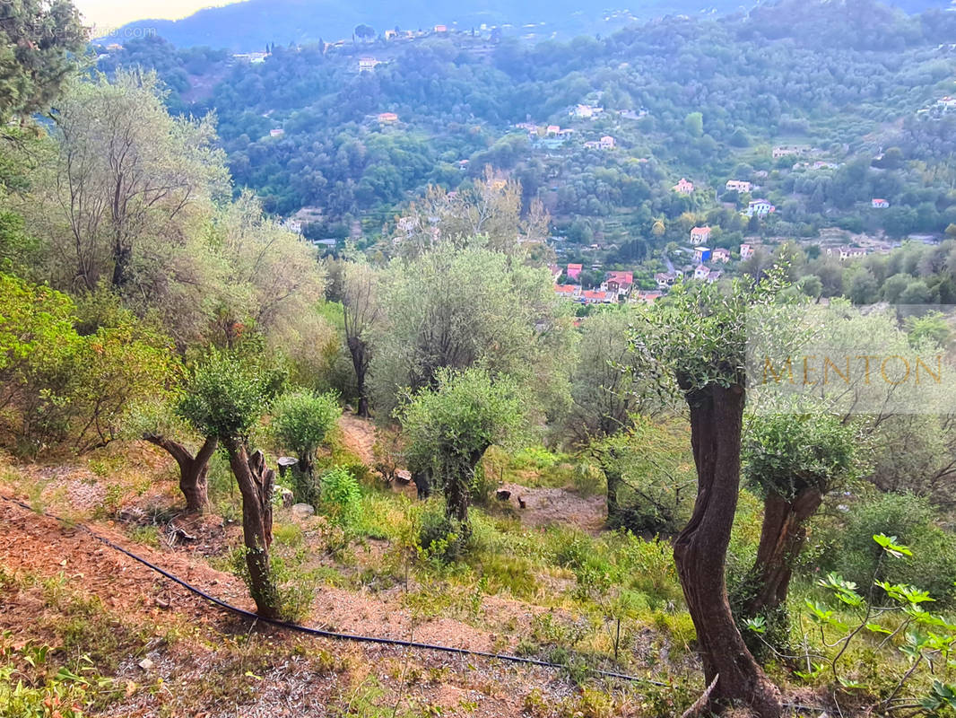 Terrain à MENTON