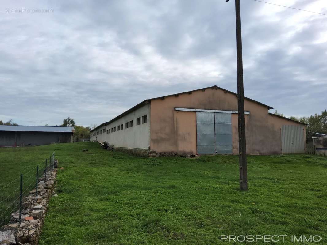 Appartement à BOZOULS