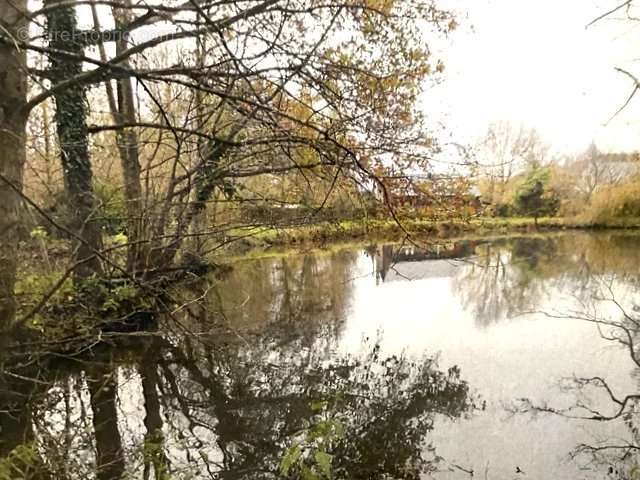 Maison à BOUIN-PLUMOISON