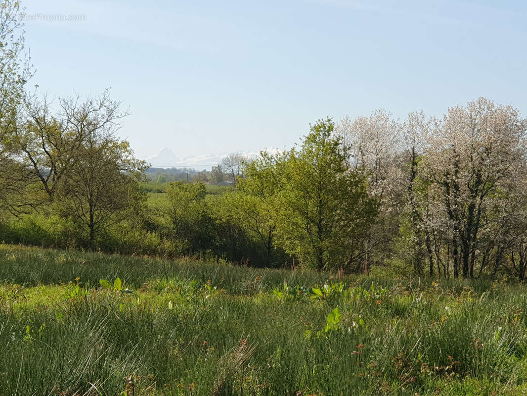 Terrain à HAGETMAU