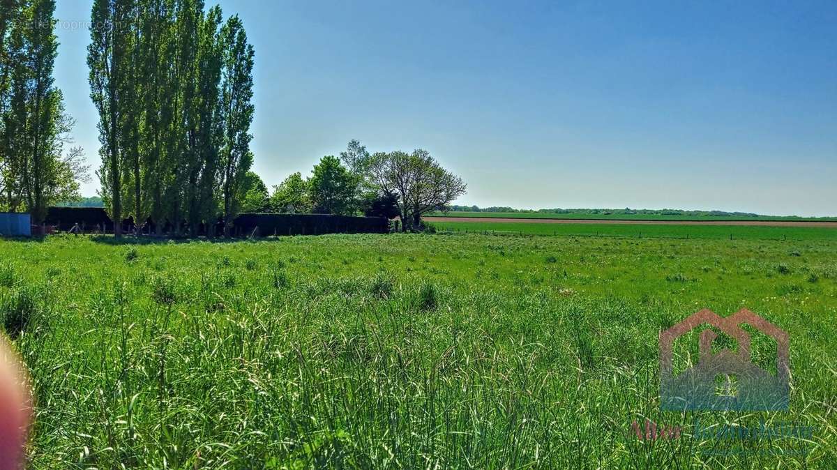 Terrain à AILLY