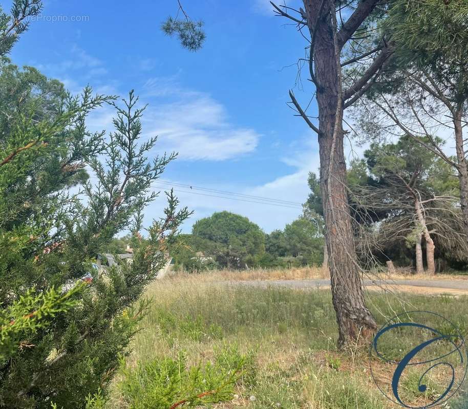 Terrain à MARSEILLAN