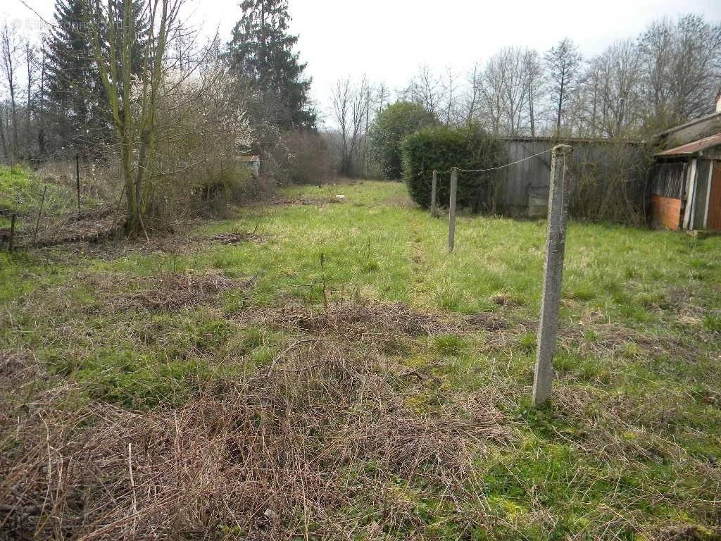 Terrain à LA FERTE-GAUCHER