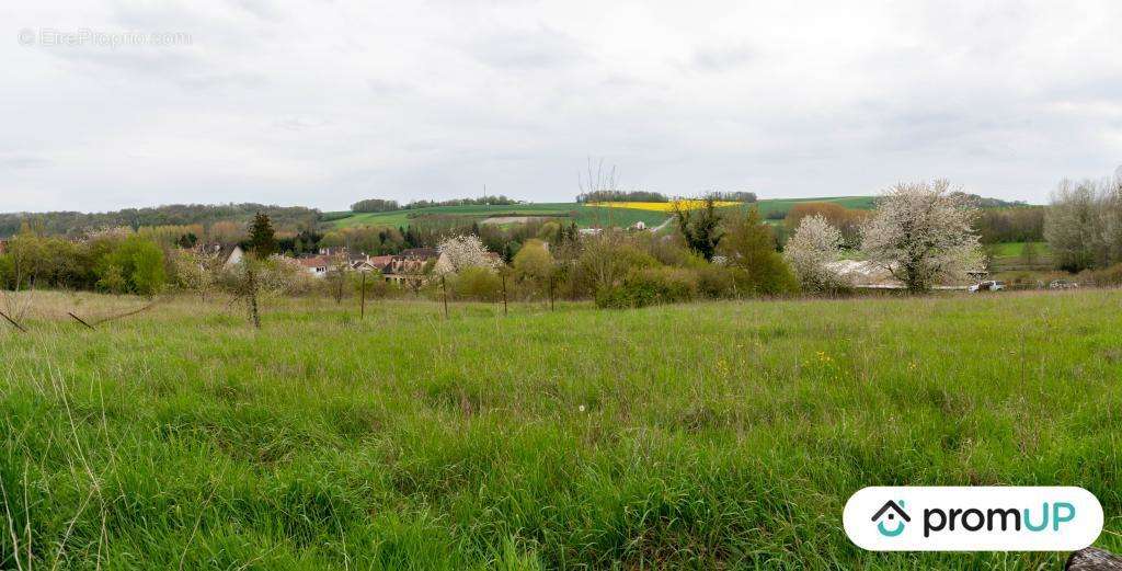 Terrain à MONTMIRAIL