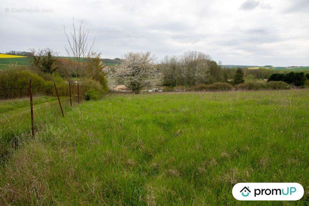 Terrain à MONTMIRAIL