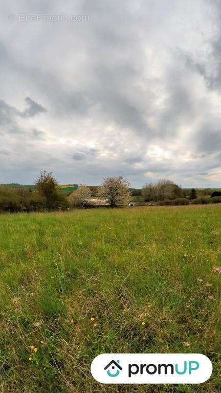 Terrain à MONTMIRAIL