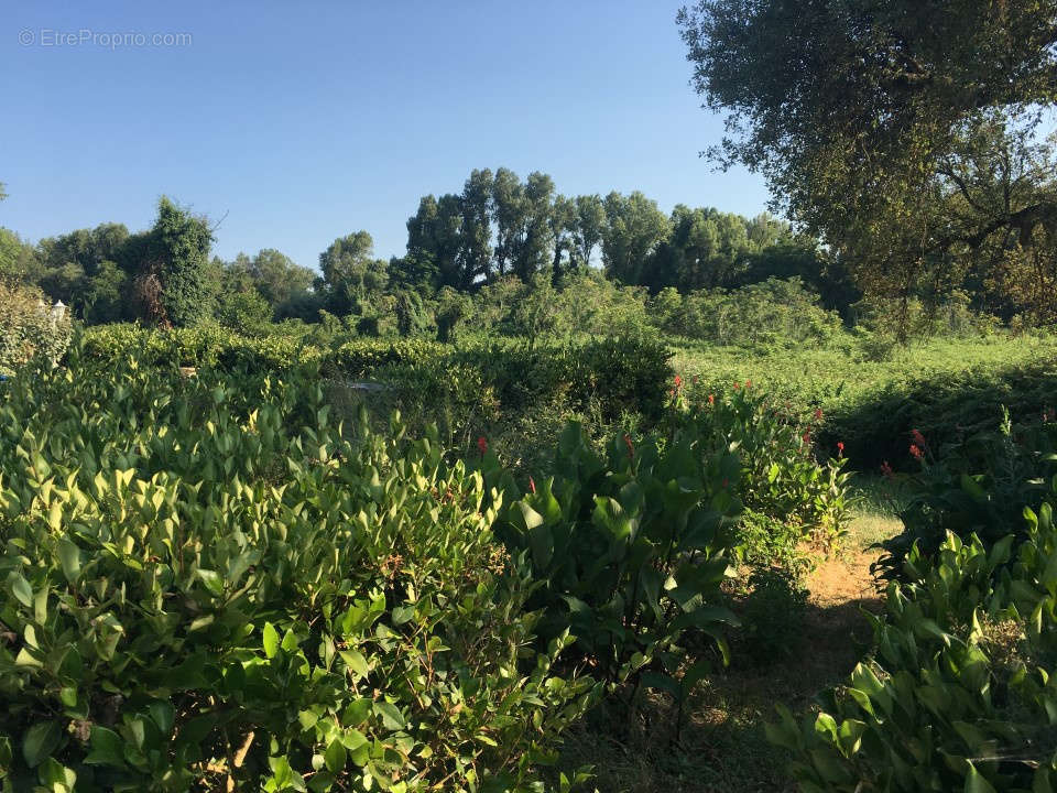 Appartement à GHISONACCIA