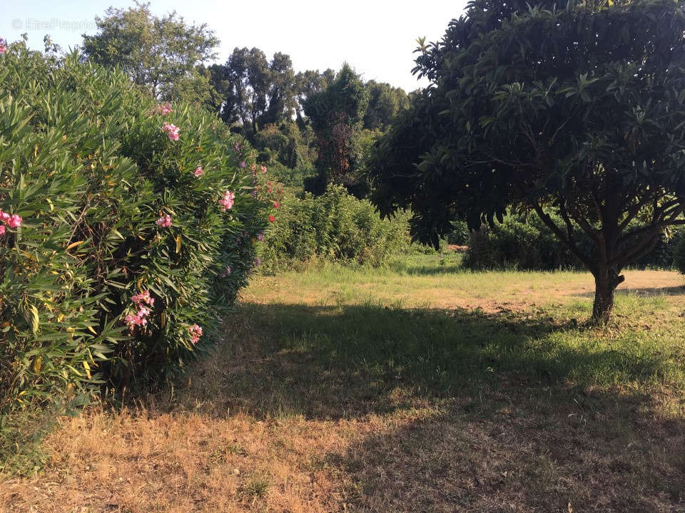 Appartement à GHISONACCIA