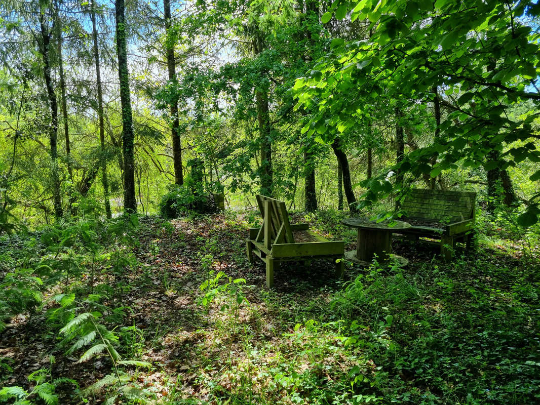 Terrain à TALMONT-SAINT-HILAIRE