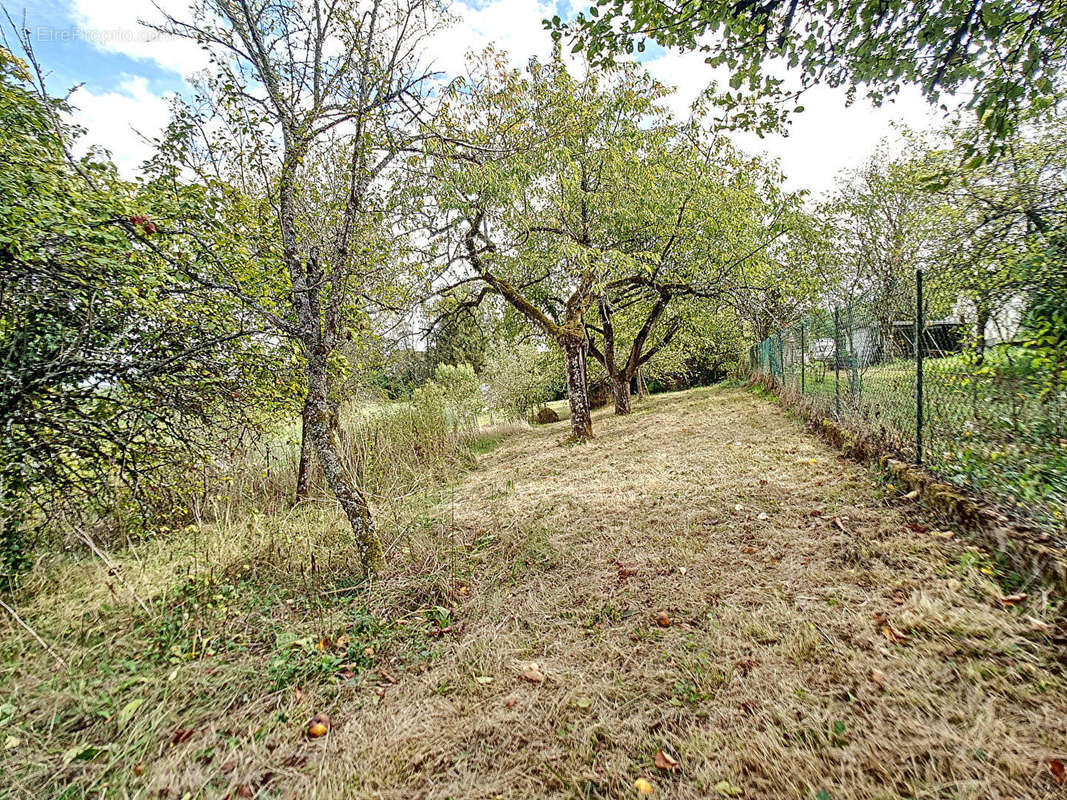 Terrain à PONTAILLER-SUR-SAONE