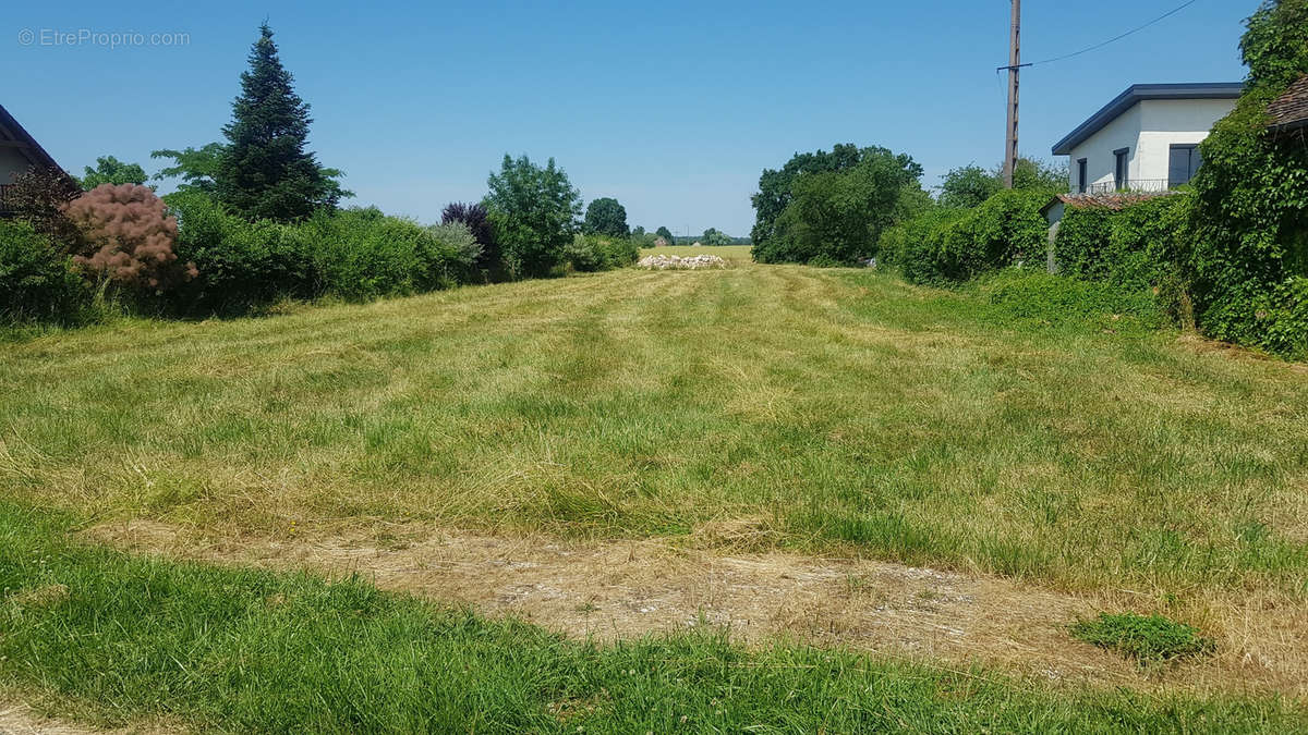 Terrain à GERGY