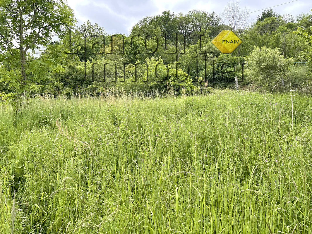 Terrain à LIANCOURT