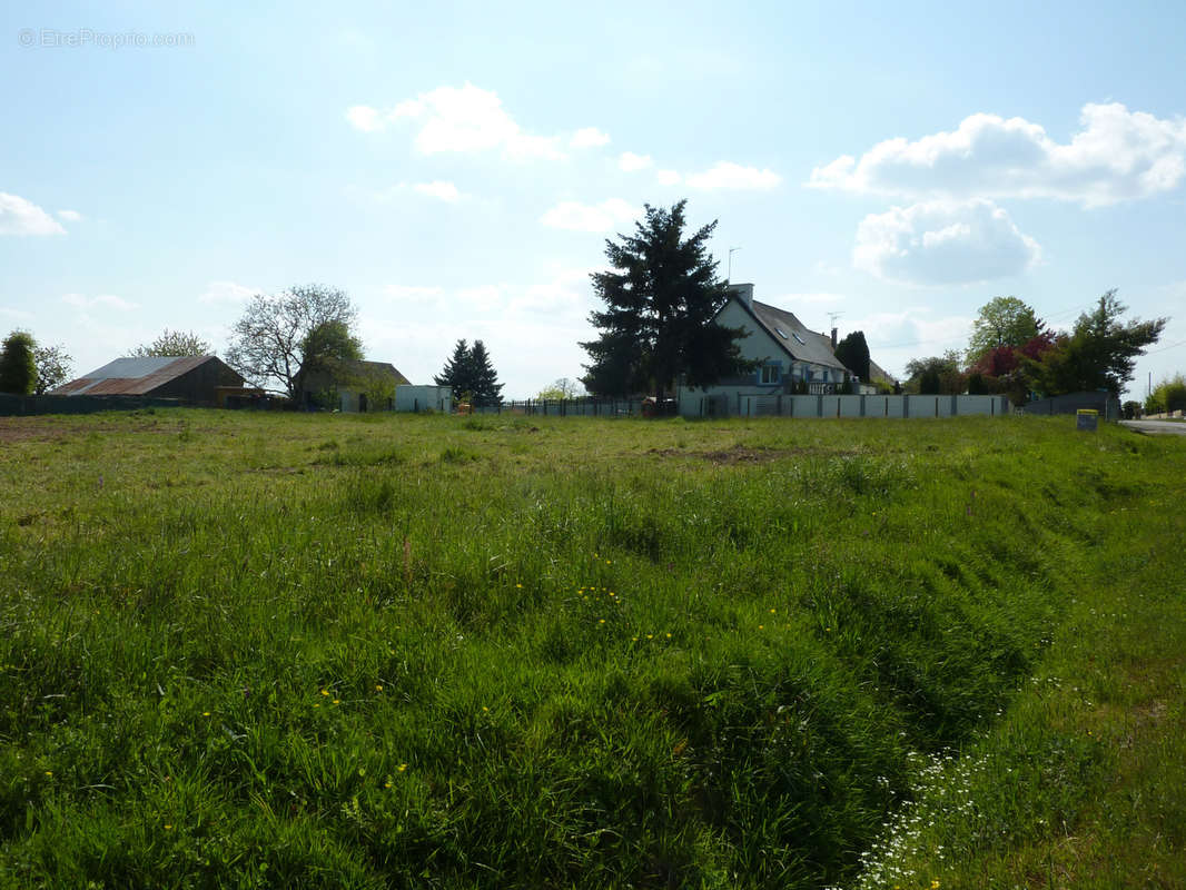 Terrain à MERNEL