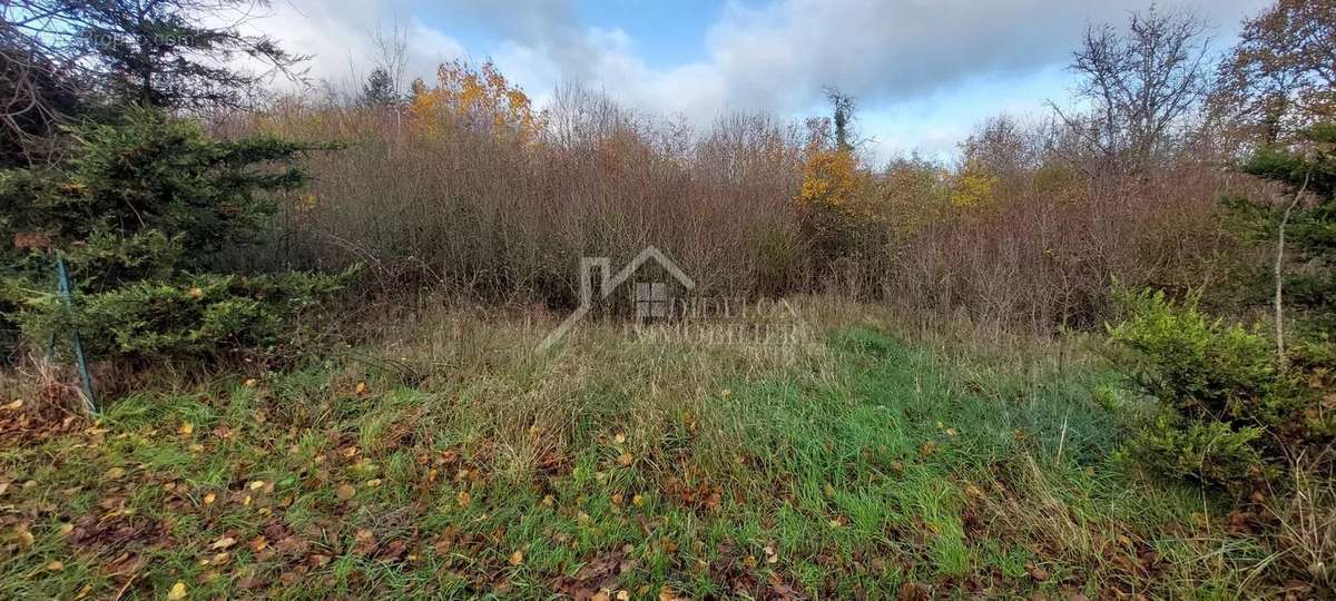 Terrain à THIAUCOURT-REGNIEVILLE