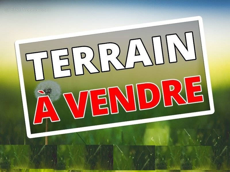 Terrain à LE TAMPON