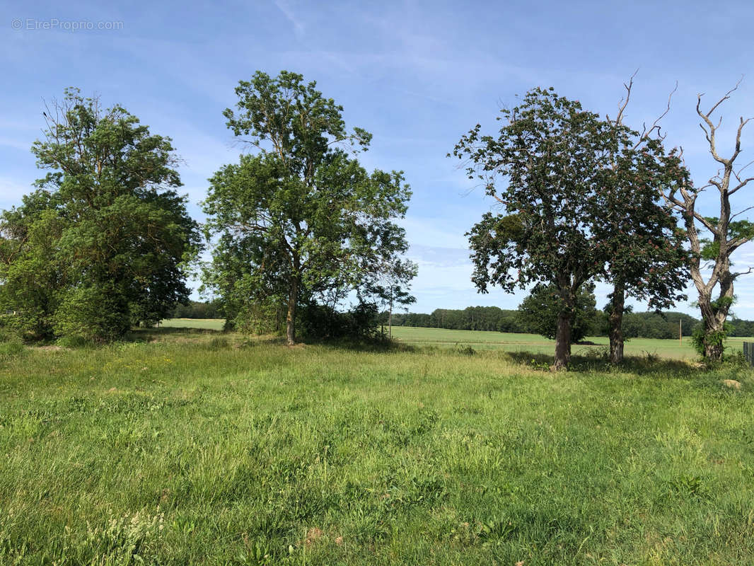 Terrain à CHOUPPES