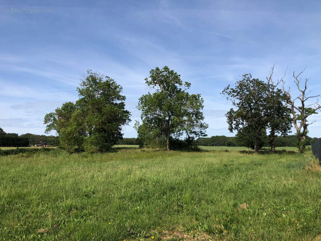 Terrain à CHOUPPES