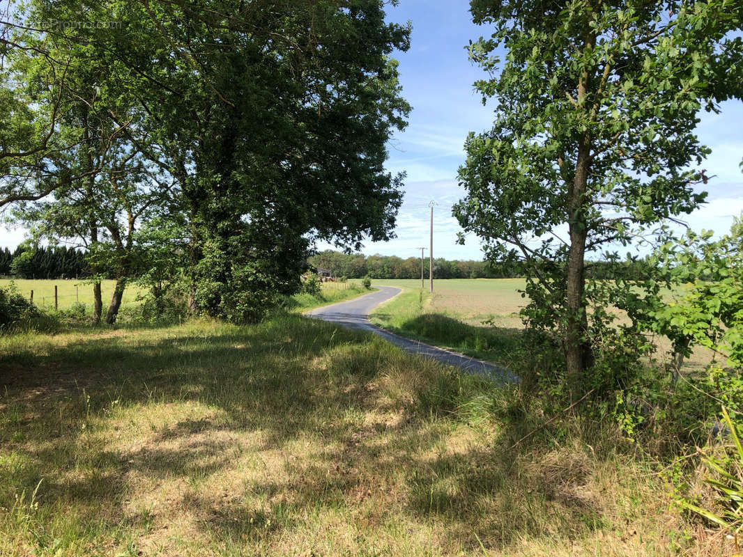 Terrain à CHOUPPES