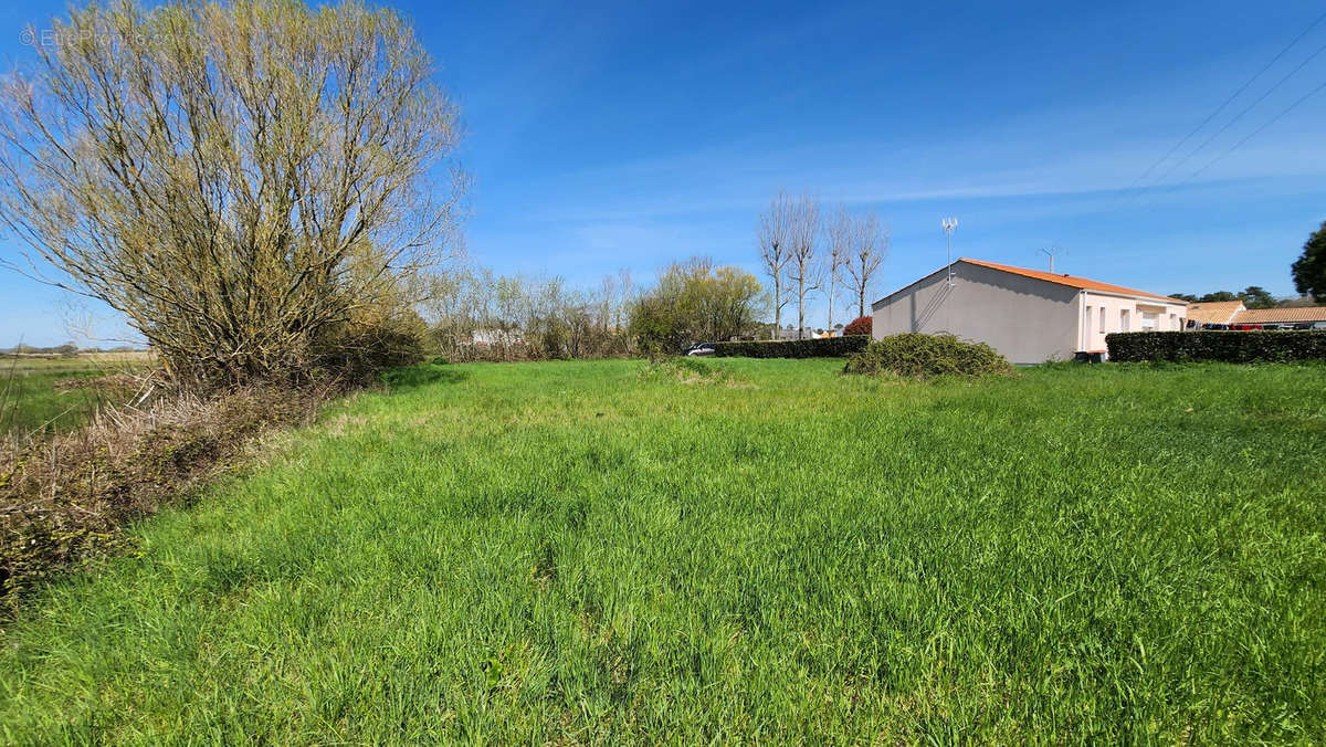 Terrain à SAINT-HILAIRE-DE-RIEZ