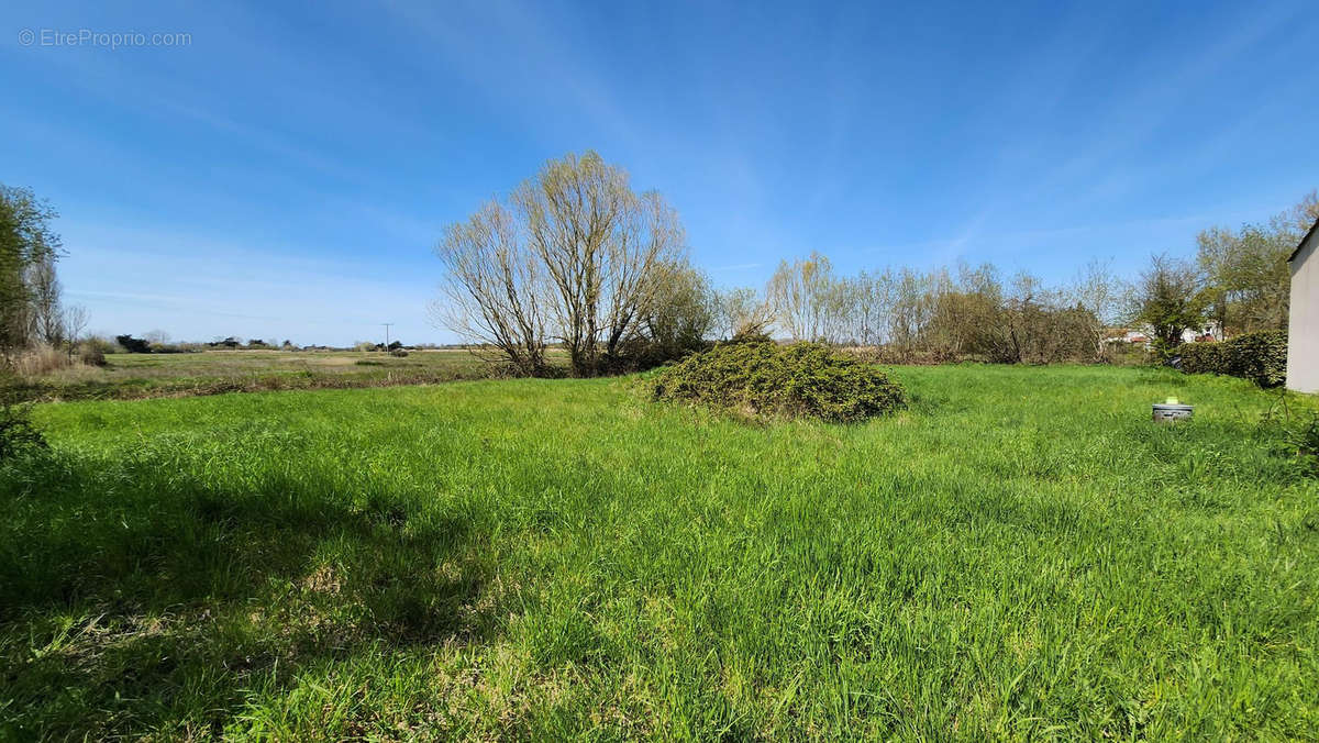 Terrain à SAINT-HILAIRE-DE-RIEZ