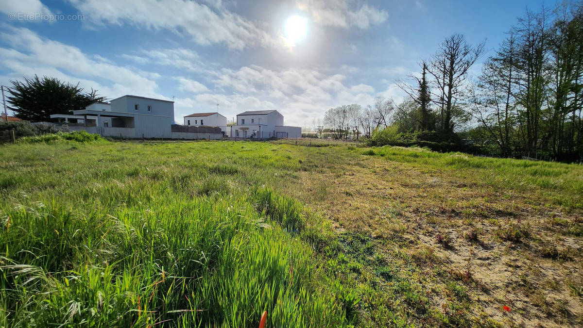 Terrain à SAINT-HILAIRE-DE-RIEZ