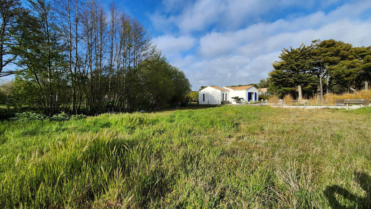 Terrain à SAINT-HILAIRE-DE-RIEZ