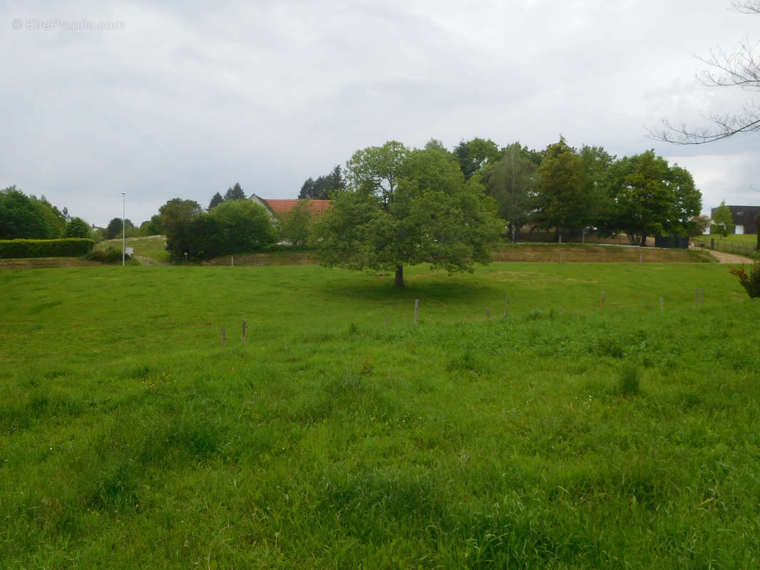 Terrain à SAINT-YRIEIX-LA-PERCHE