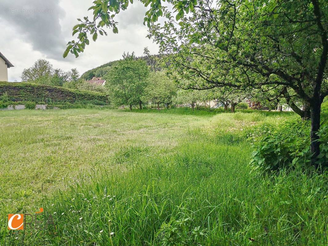 Terrain à NIEDERBRUCK