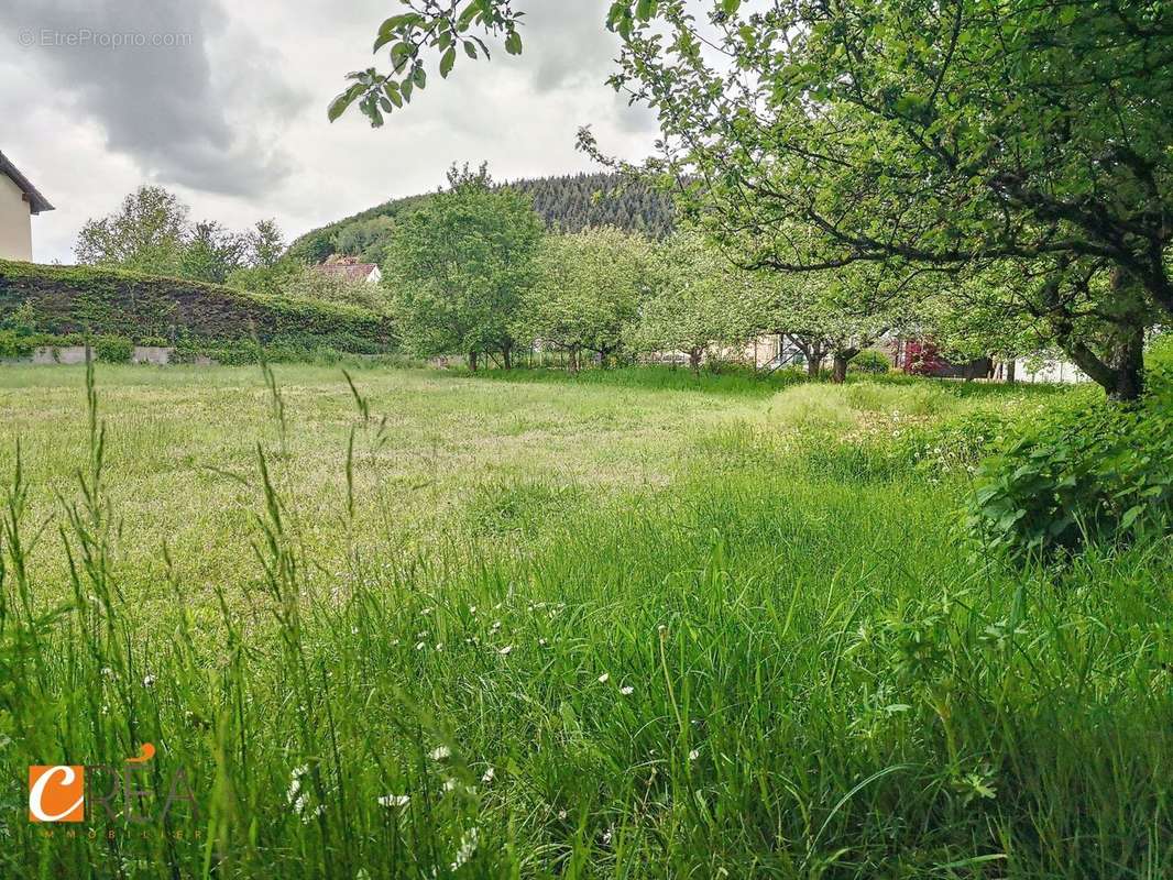 Terrain à NIEDERBRUCK