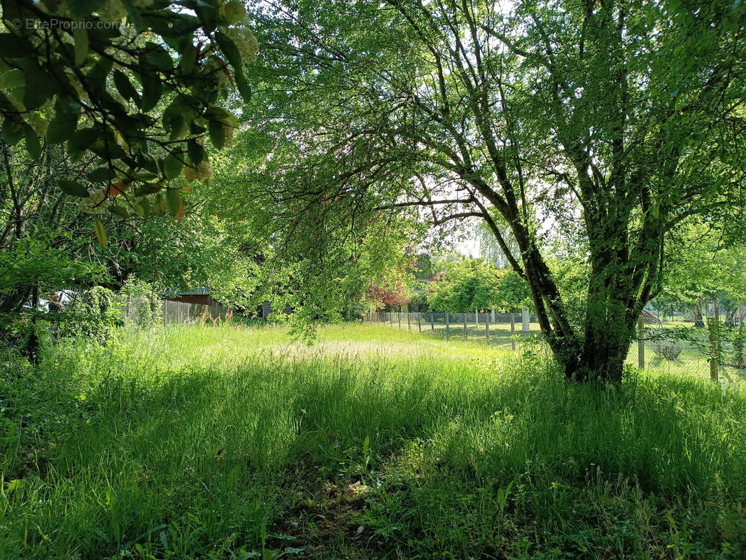 Terrain à MANSAC