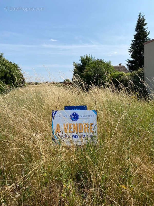 Terrain à SAINT-DYE-SUR-LOIRE