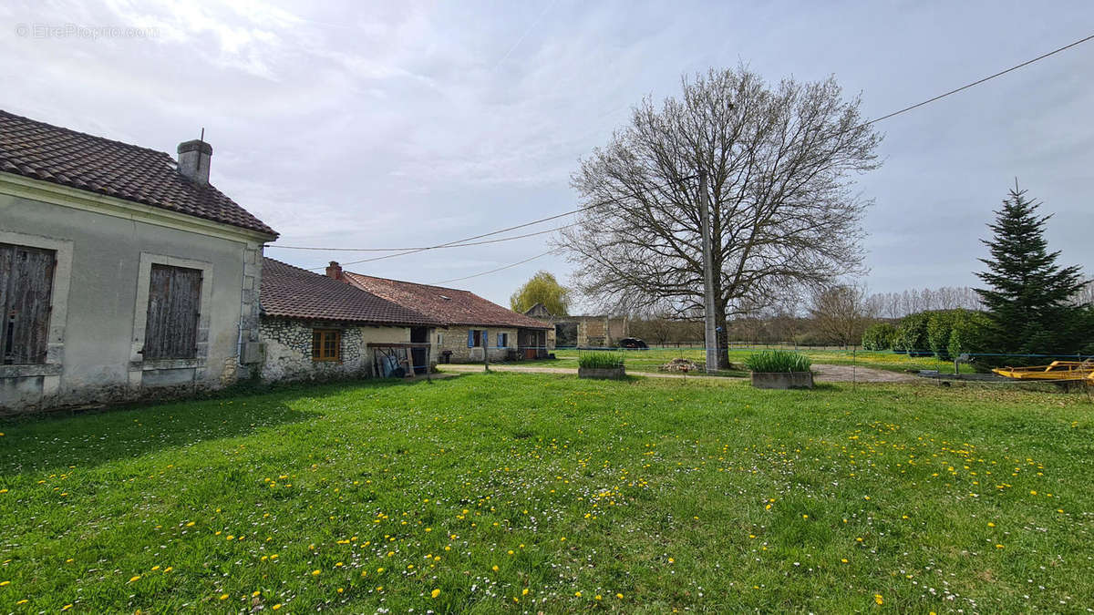 Charente maison a vendre for sale. no neighbours.  - Maison à AUBETERRE-SUR-DRONNE