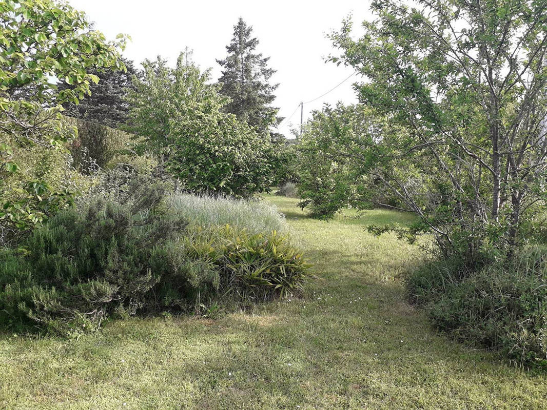 Terrain à SAVONNIERES