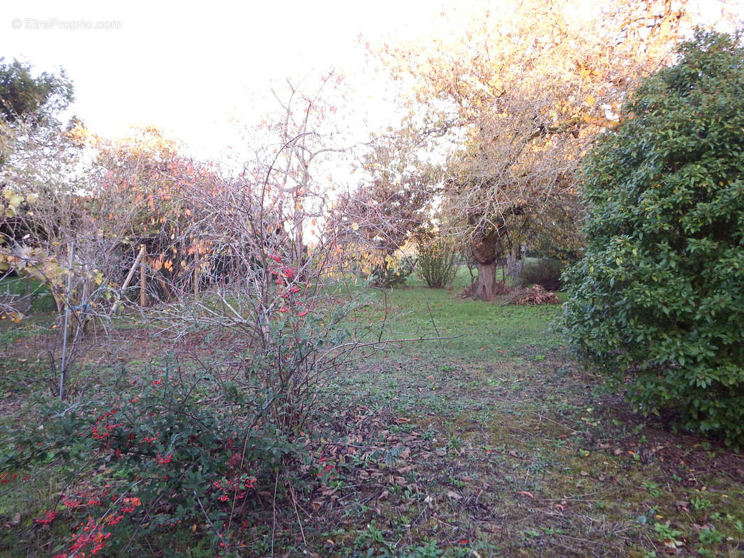 Terrain à LORREZ-LE-BOCAGE-PREAUX