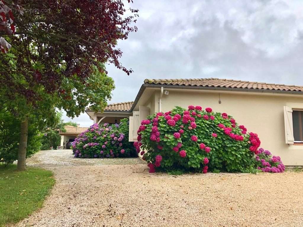 Maison à MASSEUBE