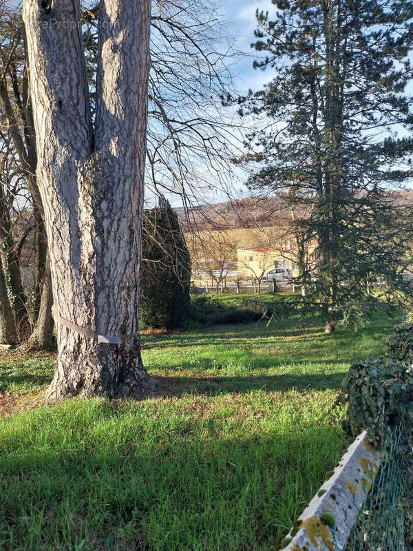 Terrain à PONT-EVEQUE