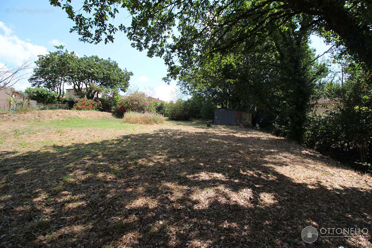 Terrain à ROQUEBRUNE-SUR-ARGENS